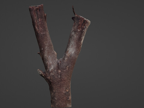 Log splited 3D Modell
