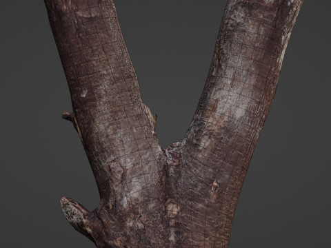 Log splited 3D Modell