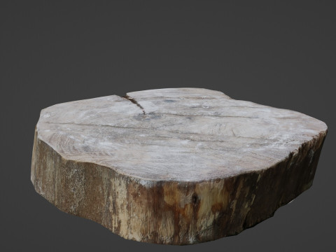 Meat cutter 3D 模型