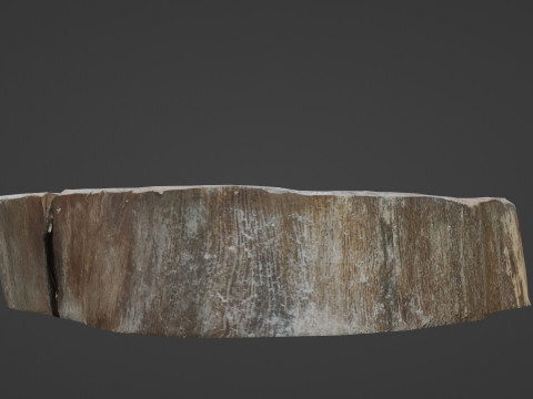 Meat cutter 3D 模型