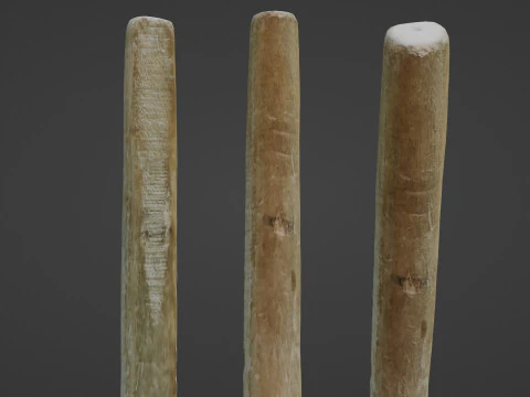 Houten Stok 3D Model