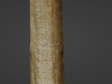 Wooden Stick Model 3D