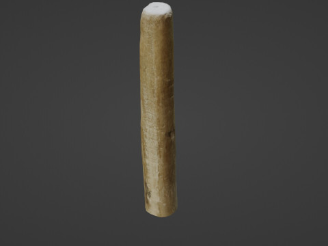 Wooden Stick Model 3D