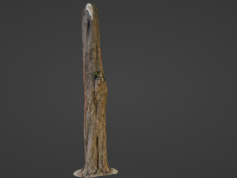 Trunk 3D मॉडल