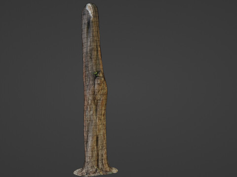 Trunk 3D मॉडल