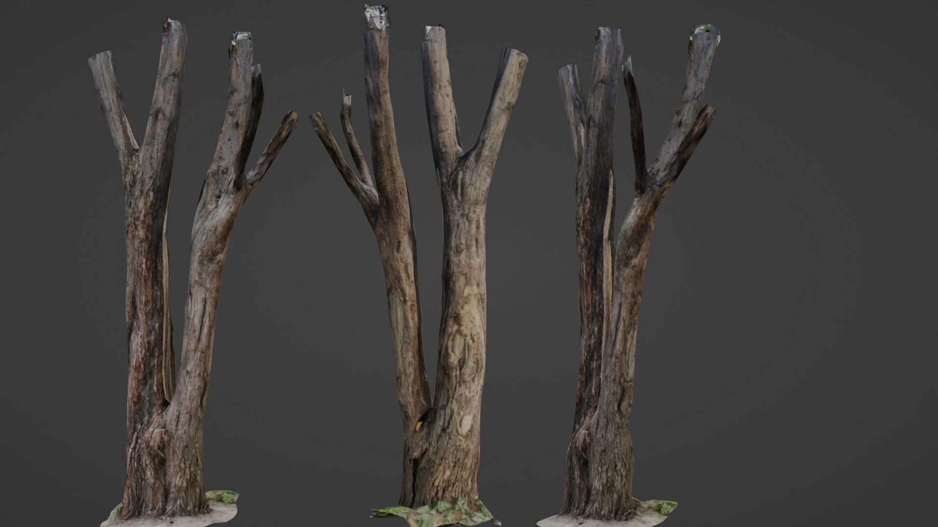 Tree trunks 3D Model .c4d .max .obj .3ds .fbx .stl .blend