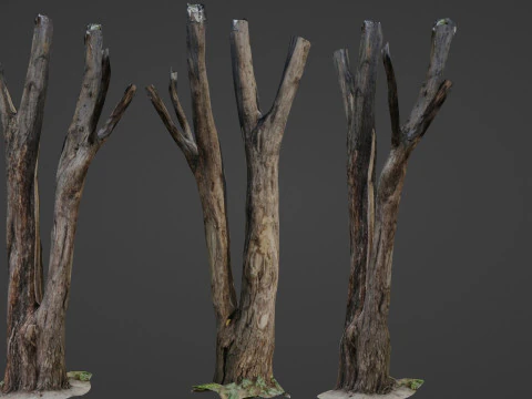 Baumst&auml;mme 3D Modell