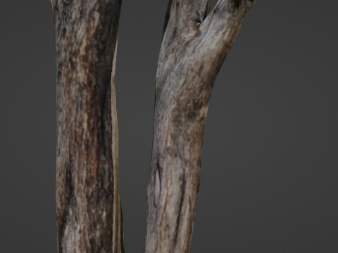 Tree trunks 3D Model
