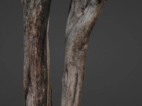 Tree trunks 3D Model