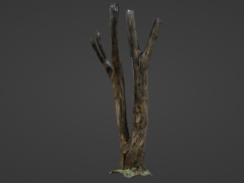 Tree trunks 3D Model