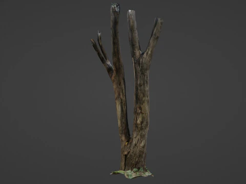 Tree trunks 3D Model