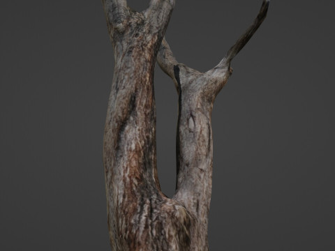 Tree trunks 3D Model