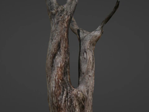 Tree trunks 3D Model