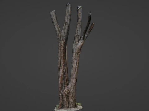 Tree trunks 3D Model