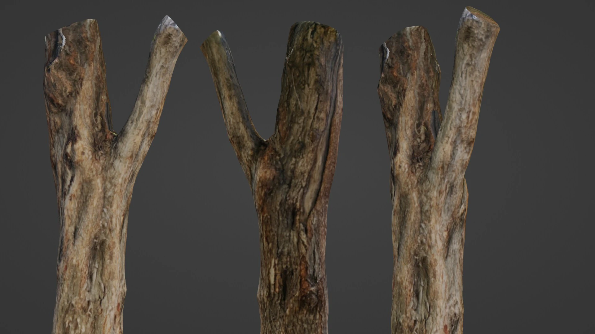 Tree trunk 3D Model .c4d .max .obj .3ds .fbx .stl .blend