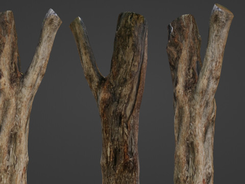 Tree trunk 3D Model