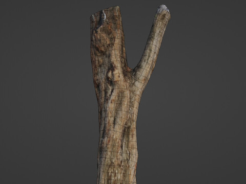 Tree trunk 3D Model