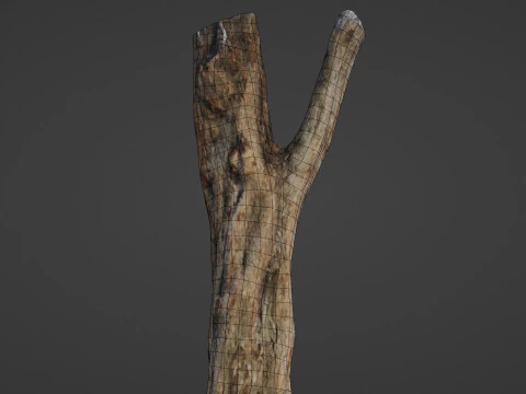 Tree trunk 3D Model