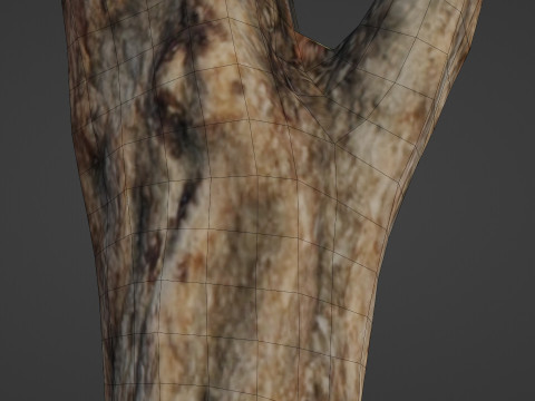 Tree trunk 3D Model