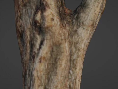 Tree trunk 3D Model