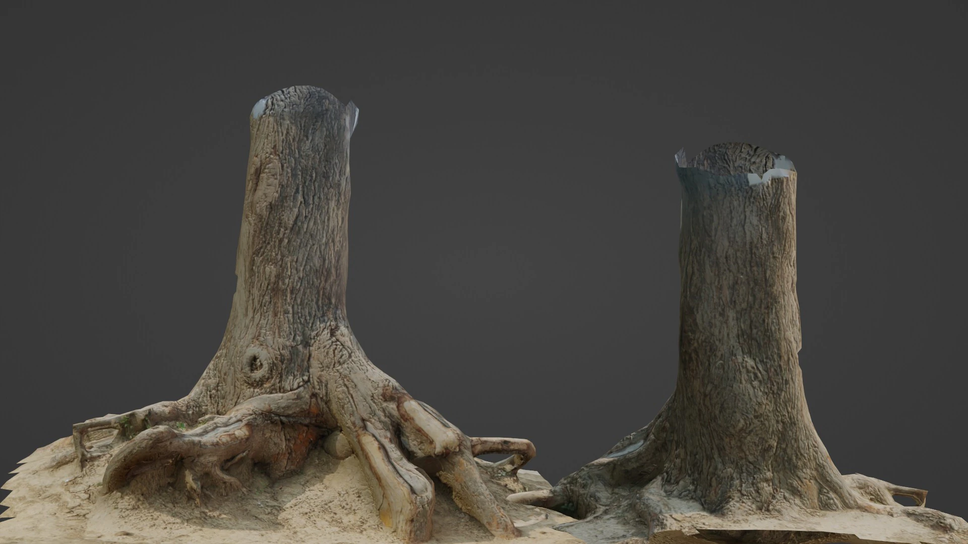 Tree trunk with roots 3D Model .c4d .max .obj .3ds .fbx .stl .blend 
