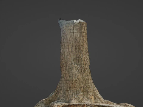 Tree trunk with roots 3D Model