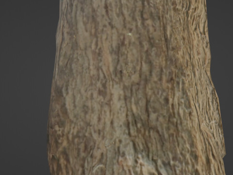 Tree trunk with roots 3D 模型
