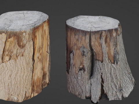 Wooden Log Model 3D