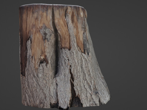 Wooden Log Model 3D