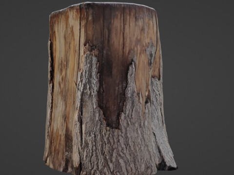 Wooden Log Model 3D
