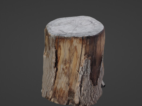 Wooden Log Model 3D