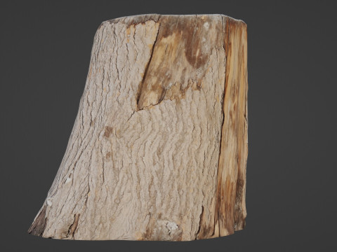 Wooden Log Model 3D