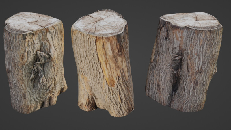 Scanned Log Modelo 3D .c4d .max .obj .3ds .fbx .stl .blend