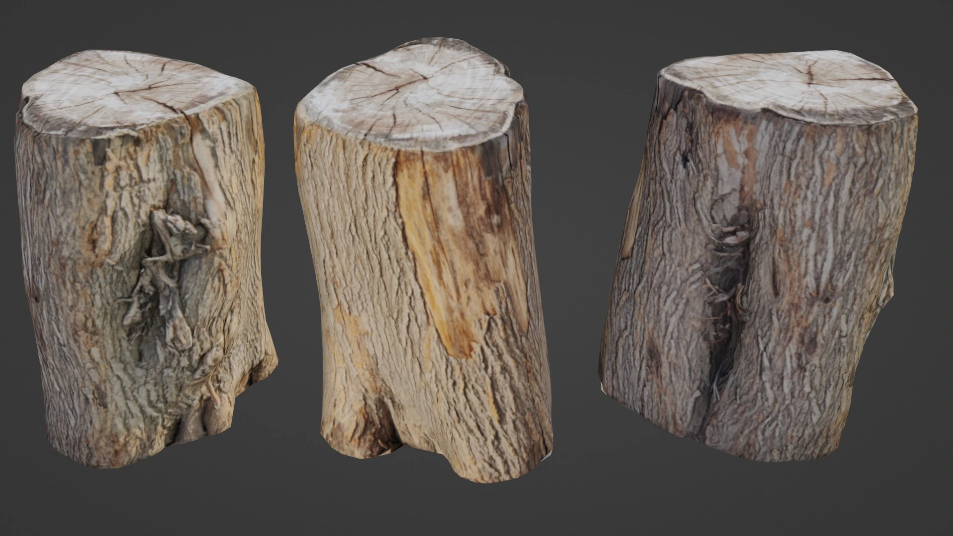 Scanned Log 3D Model .c4d .max .obj .3ds .fbx .stl .blend 
