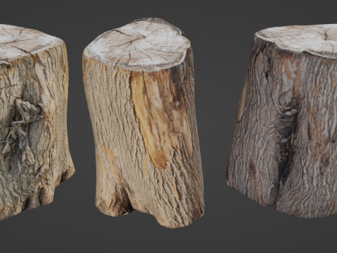 Scanned Log Modèle 3D