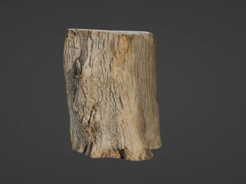 Scanned Log 3D Model