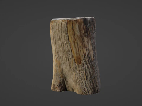 Scanned Log 3D Model
