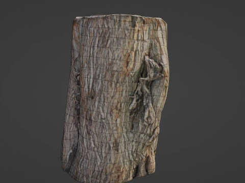 Scanned Log 3D Model