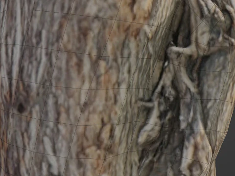 Scanned Log 3D Model