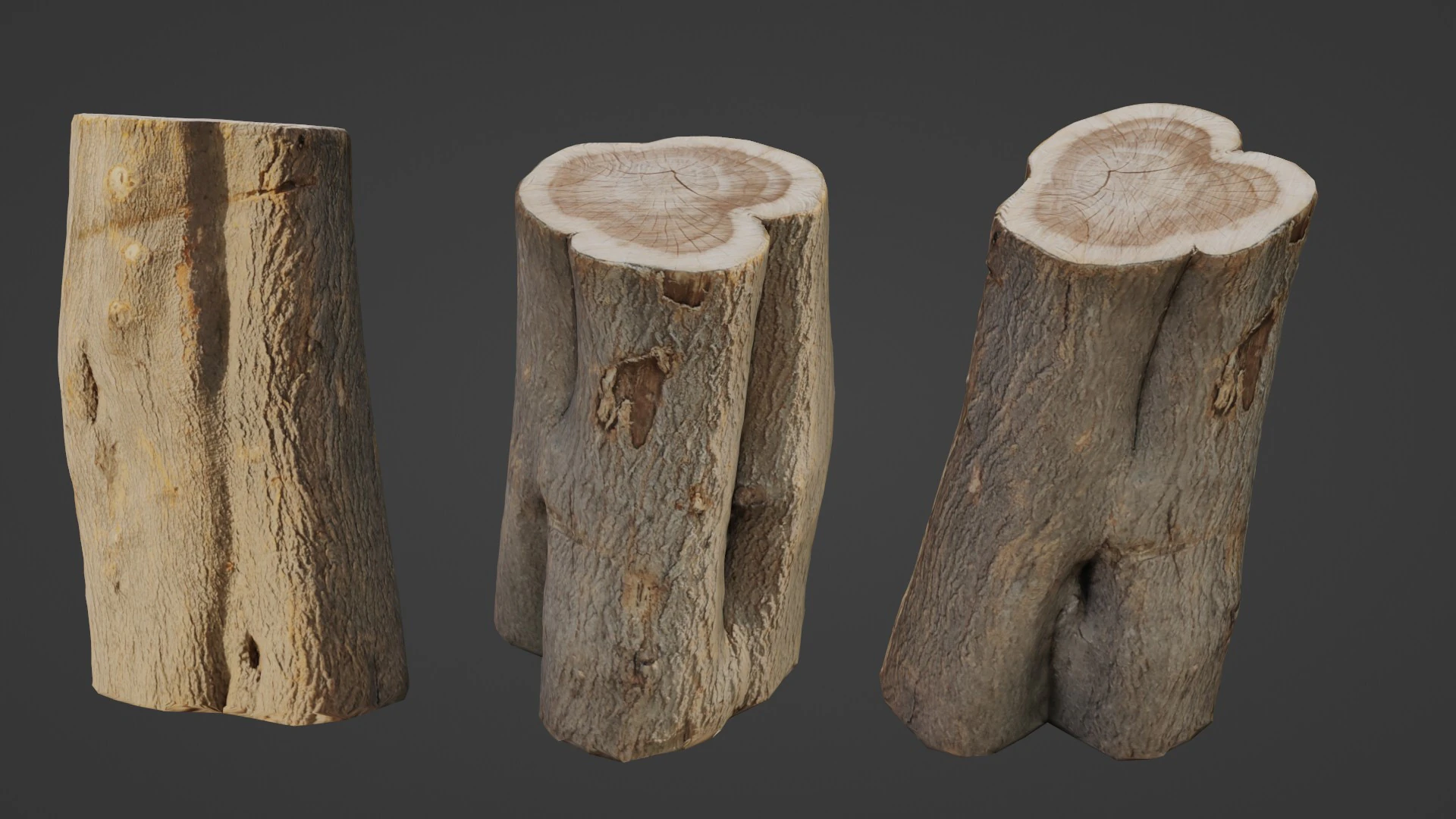 Log scan 3D Model .c4d .max .obj .3ds .fbx .stl .blend 