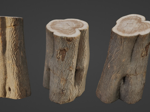 Log scan 3D Модель