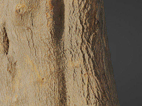 Log scan 3D Model