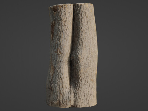 Log scan 3D Model