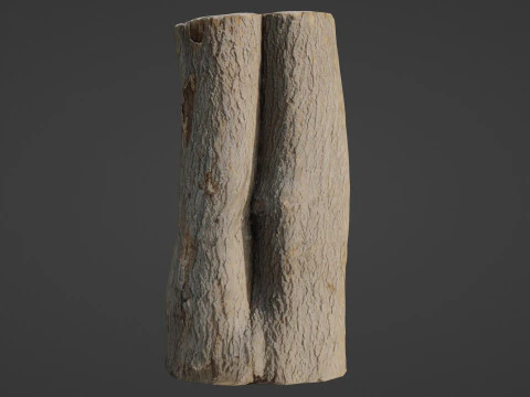 Log scan 3D Model