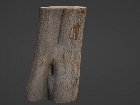 Log scan 3D Model