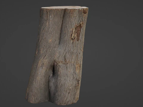 Log scan 3D Model