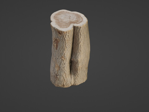 Log scan 3D Model