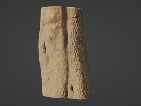 Log scan 3D Model