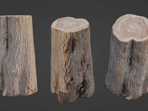 Log Modèle 3D