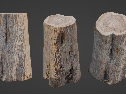 통나무 3D 모델
